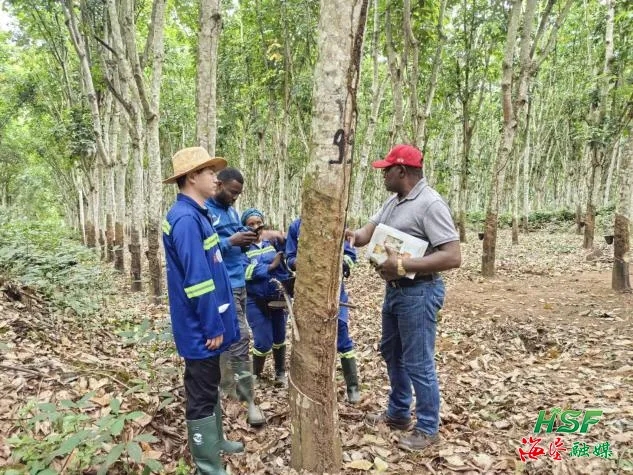 1716538473318030292.jpg 1716538473318030292.jpg