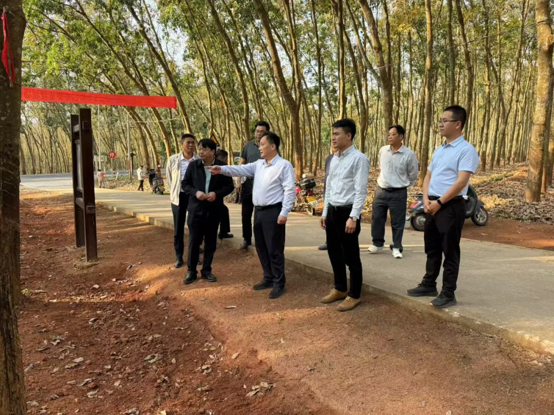 1740470045175064675.jpg 1740470045175064675.jpg