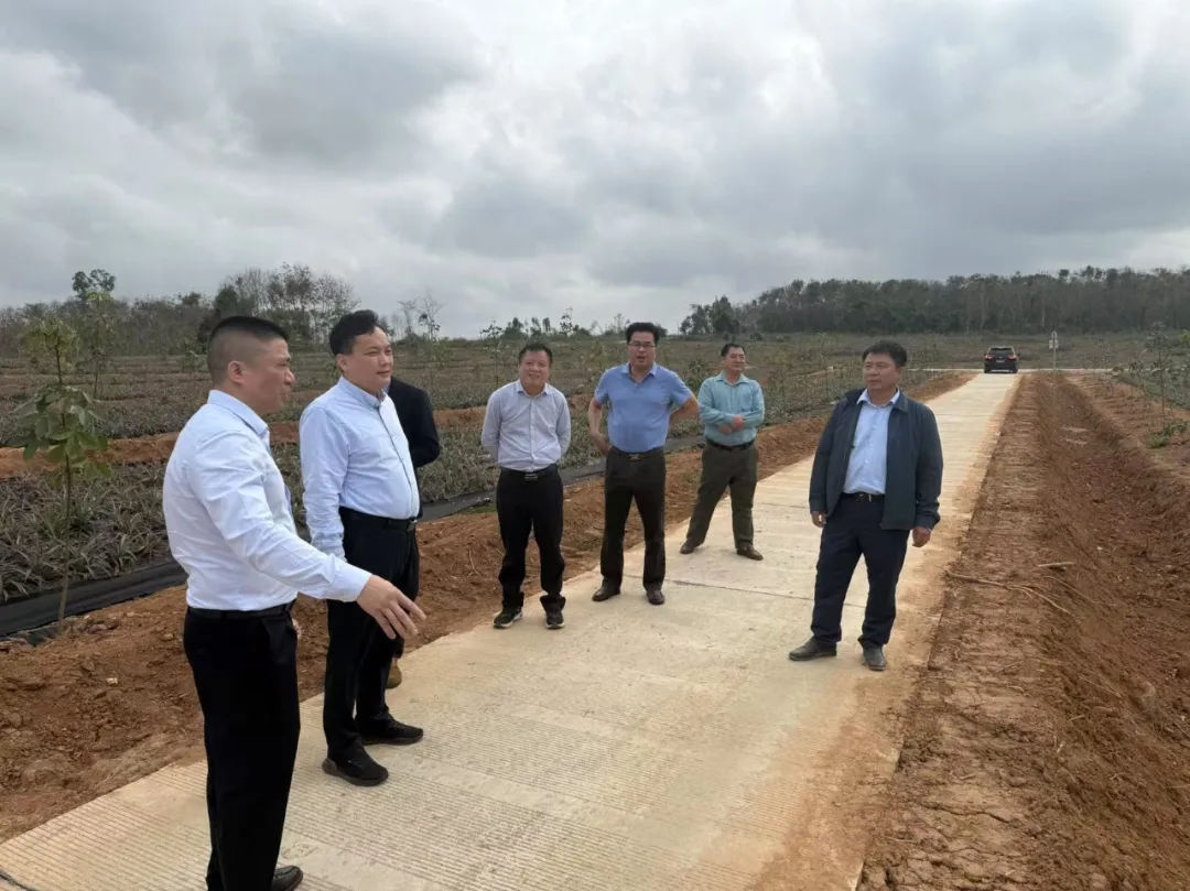 1740470229766086104.jpg 1740470229766086104.jpg