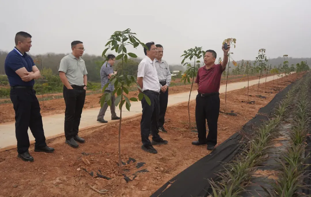 黃廉宏赴西培分公司調(diào)研